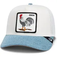 GOORIN BROS. Casquette 'Rooster Fan Instituion' bleu denim / gris / noir / blanc