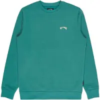 Billabong Arch Sweatshirt Vert S Homme