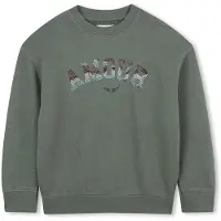 Zadig & Voltaire X60433 Sweatshirt Vert 14 Years Fille
