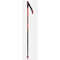 Rossignol Bâtons Hero Sl