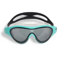 Arena The One Junior Swimming Mask Bleu Enfants