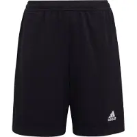 Adidas Entrada 22 Training Shorts Noir 11-12 Years Enfants