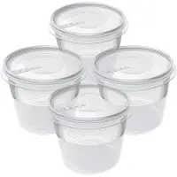PLAST TEAM Vertriebs GmbH plast team 15900101 plast team Set de boîtes de congélation Helsinki, 0.3 litres, set de 4