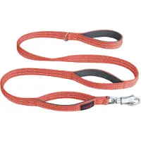 Company of animals Laisse Pour Chien Halti Brig Safety