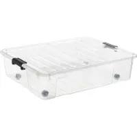 PLAST TEAM 22430800 plast team Boîte de rangement HOME BOX BEDROLLER XL, 49 litres