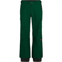 O'Neill Fwc Cruz Cargo Pants Vert S Homme