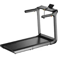 Kingsmith WalkingPad X218