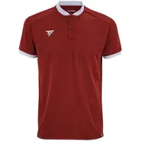 Tecnifibre Team Mesh Kurzarm-poloshirt Rot 12-14 Years Rot 12-14 Years