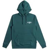 Billabong Dreamy Place Hoodie Vert L Homme