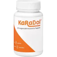 Volopharm GmbH Deutschland Karadol gélules gastro-résistantes 60 pc