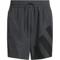 Adidas Pantalon de sport 'Anthony Edwards Foundation' anthracite / noir