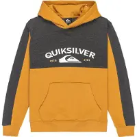 Quiksilver Knowledge Area Hoodie Jaune 16 Years Garçon