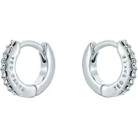 Ted Baker Boucles d'oreilles 'HETTIE' argent