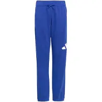 Adidas Essentials Joggers Bleu 11-12 Years Enfants