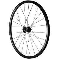 Mavic Aksium 1 Cl Disc Tubeless Road Front Wheel Argenté 12 x 100 mm