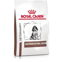 Royal Canin Vet Diet Gastro Intestinal Junior 2 x 1 kg : aliments pour chiots souffrant de troubles digestifs