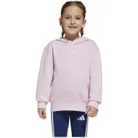 Adidas Sweat à Capuche Essentials Small Logo