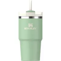 Stanley Quencher H2.O FlowState Tumbler gobelet en acier inoxydable avec paille petit format Pistachio 1 pcs