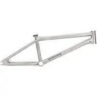 Wethepeople Jackal Titanium Bmx Frame Argenté 19´´