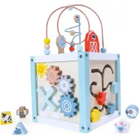 Northio Trieur de cubes éducatifs en bois + blocs ECOTOYS
