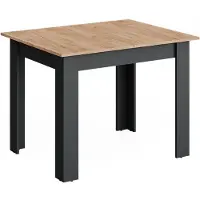 Vicco Table de salle à manger Repose Anthracite/Chêne de force doré 100-140 x 80 cm extensible, Model 55776