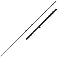Savage Gear Defiance Sg2 Cast Jigging Rod Argenté 1.80 m / 250 g