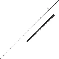Penn Battalion Solid Electric Straight Butt Jigging Rod Argenté 2.10 m / 500-1000 g