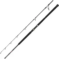 Penn Ally Ii Offshore Jigging Rod Argenté 2.21 m / 80 g