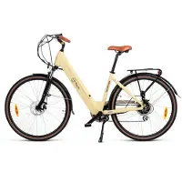 Youin You-ride Viena Electric Bike Argenté One Size / 250Wh