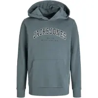 Jack & Jones Caleb Varsity Hoodie Gris 10 Years Garçon