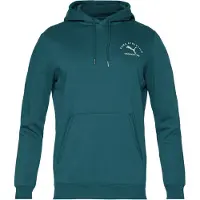 Puma Class Graphic Hoodie Vert S Homme