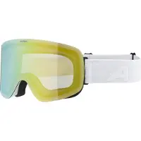 Alpina Masque de ski