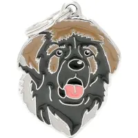 My Family MyFa tegn friends, Leonberger (Chien)