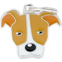 My Family Médaille Pour Chien Pitbull
