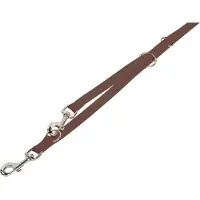 Nobby Classic (L, Chien, Général)
