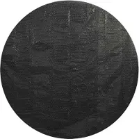 vidaXL Couverture de piscine noire 455 cm PE