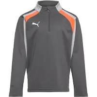 Puma Individualliga Half Zip Long Sleeve T-shirt Gris 9-10 Years Enfants
