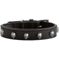 Hunter Collier Tijuana (S, Chien, Général)