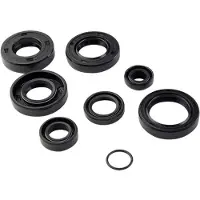 Minarelli Joint Spi Moteur Pour Moto Rieju 50 Rs3 Neuf