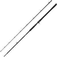 Savage Gear Alpha SG2 Trolling 2,69 m 110-250 g Canne à lancer lourd