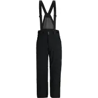 Spyder Boundary Gore-tex Pants Noir XL Homme