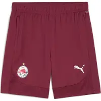 Puma Hommes, Bas de sport, Short d'entraînement RBS (L), Rouge