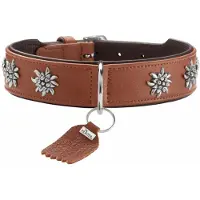 Hunter Collier Munich pour chiens 37 (37, Chien, Général)