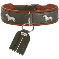 Hunter Collier Teckel München 32/XS, cuir de boeuf, vert/cognac (32, Chien, Général, Promenade)