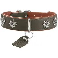 Hunter Collier München 47/S-M, cuir de boeuf, vert/cognac (Chien, Général)