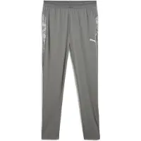 Puma Pantalon de sport 'CUP' gris