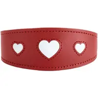 Hunter Collier Lévrier Love 32/XS, rouge/noir (XS, Chien, Général)