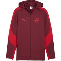 Puma Hommes, Vestes de survêtement, Veste à capuche RBS EVOSTRIPE (M), Rouge, M