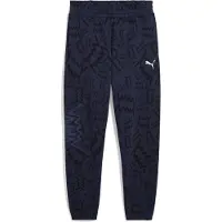 Puma Unisexe, Bas de sport, teamJAWS Post Game Pants (L), Bleu