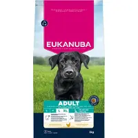 Eukanuba Adult Large poulet pour chien